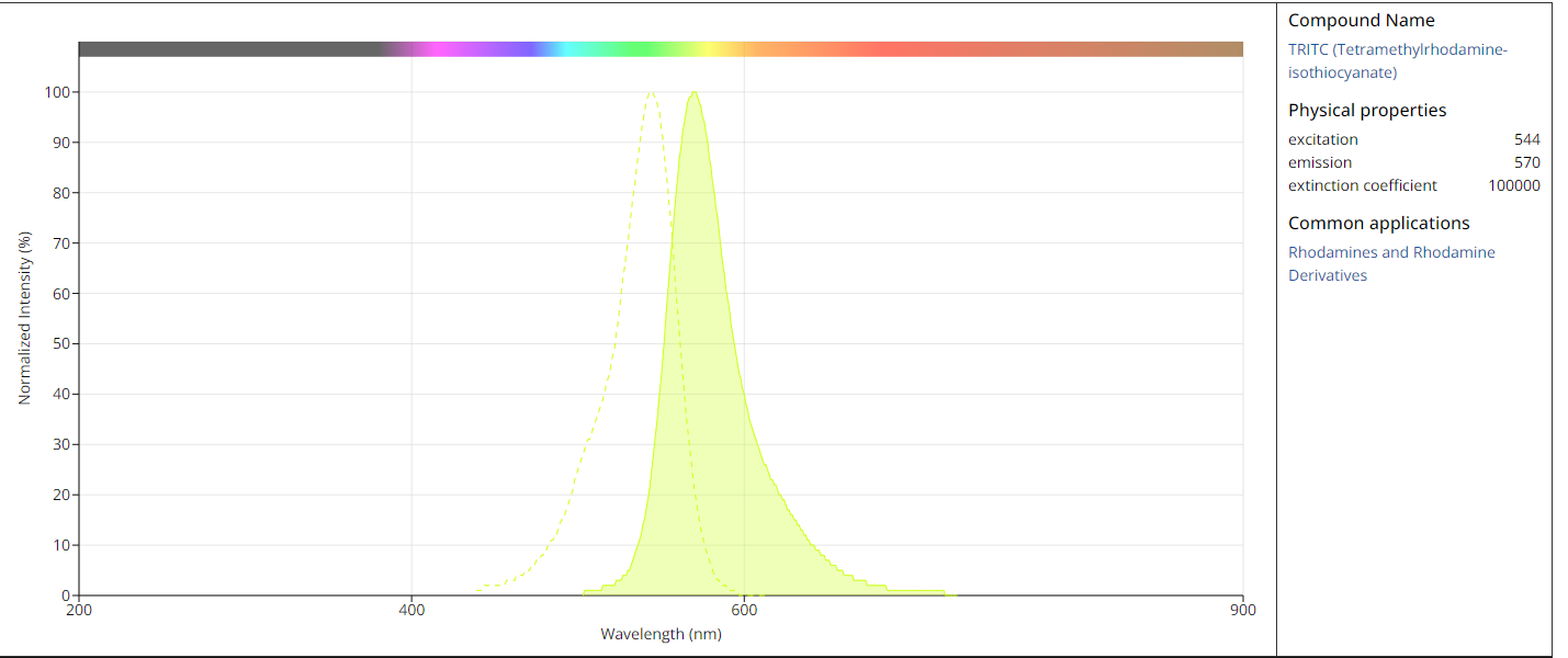 TRITC-Ex-Em Spectrum.png