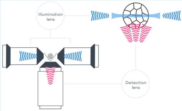 Bruker TruLive3D schematic.png